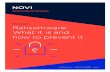 Whitepaper Ransomware: What it is and how to …Whitepaper Ransomware: What it is and how to prevent it e. hello@novi.ie t. +353 (0) 1 621 8633 novi.ie Technology for Business C M