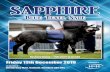 SAPPHIRE - Harrison & Hetherington...SAPPHIRE Blue Texel Sale To be held at Borderway Mart, Carlisle, Cumbria CA1 2RS Friday 13th December 2019 Auctioneers Hackney Classy – Full