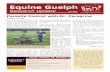 Fall 2013 Newsletter - equineguelph.ca 2013 Newsletter W.pdf · This 10th anniversary issue celebrates the latest innovations in equine research. Be sure to follow the ... online