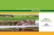 Farm Safety Action Plan - Health and Safety Authority · causing injury take place annually on Irish farms. (Teagasc, National Farm Survey, 2011). Farm injuries and ill health cause