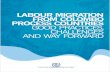 LABOUR MIGRATION FROM COLOMBO PROCESS COUNTRIES … · Labour migration from Colombo Process Countries: Good practices, challenges and ways forward Labour migration from the eleven