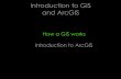 Introduction to GIS and ArcGISCustomization & Programming • Many functions are not available from the GUI • Custom functions and operations can be created with various programming