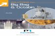SOLUTIONS for Big Bag & Octabin - palamaticprocess.com · The big bag is placed on the filling station 2. The big bag inlet is connected to the filling head by an inflatable gasket