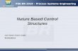 Nature Based Control Structures - Universidade Federal do ... Nature Based Control Structures Luأ­s