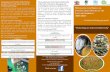 Management and Control of the Marine The maintenance of the … · 2017-06-23 · Management and Control of the Marine Invasive Perna viridis (green mussel) in Trinidad and Tobago