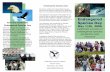 endangered species day brochure - Earthjustice · endangered species success stories, including the protection and recovery of the American bald eagle, peregrine falcon, humpback