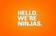 HELLO. WEÕRE NINJAS.s3.amazonaws.com/cubicle_ninjas/Hello_Presentations.pdf · 2013-04-16 · Designing, illustrating, and building complex ... they funnel everything through pushy