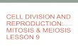 9-Cell Division and Mitosis lesson 9 - PC\|MACimages.pcmac.org/SiSFiles/Schools/TN/DyerCounty/... · Mitosis • Mitosis is the process of cell reproduction by making a copy of its
