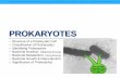 PROKARYOTES - Bio Resource Site€¦ · Small size, big impact! •Black Death (bubonic plague) •Prokaryotes as decomposers “If prokaryotic decomposers were to disappear, the