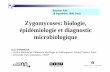 Zygomycoses: biologie, épidémiologie et diagnostic …ddata.over-blog.com/xxxyyy/2/48/87/07/soireeAIH/... · 2020-04-08 · Diagnosis of zygomycosis in FRESH tissues Good sensitivity