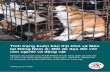 Tình trạng buôn bán thịt Chó và Mèo tại Đông Nam …...Báo cáo này cung cấp cái nhìn sâu sắc về nạn buôn bán thịt chó và mèo ở Đông Nam Á, tập