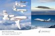 2013 Annual Results Press Conference, March 13, 2014 Eric ... · Falcon: an expanded product line 2 Press Conference, March 13, 2014 - 2013 Annual Results - Dassault Aviation Proprietary