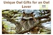 Unique Owl Gifts for an Owl Lover
