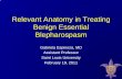 Relevant Anatomy in Treating Benign Essential Blepharospasm · Relevant Anatomy in Treating Benign Essential Blepharospasm Gabriela Espinoza, MD Assistant Professor. Saint Louis University.