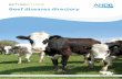 BETTERRETURNS - AHDB Beef & Lambbeefandlamb.ahdb.org.uk/wp-content/uploads/2018/05/Beef-disease... · Bovine Viral Diarrhoea (BVD) Bovine Viral Diarrhoea is a widespread infectious