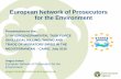 European Network of Prosecutors for the …...European Network of Prosecutors for the Environment Presentation to the: 1st INTERGOVERNMENTAL TASK FORCE ON ILLEGAL KILLING, TAKING AND