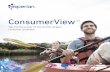 ConsumerView - Experian · ConsumerView audiences reveal how to reach your customers with the right message, on the right . channel, at the right time: • Lifestyle segmentation,