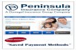 Saved Payment Methods - donegalgroup.com · 2017-01-18 · 1 Saved Payment Methods ^Saved Payment Methods is new functionality that an insured can choose when making a payment, which