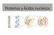 Proteínas y Ácidos nucleicos - EXACTAS UNICEN organica y... · 2019-10-15 · lácteos y algunos vegetales como la espelta, la soja y la quinoa. Mientras que algunas combinaciones