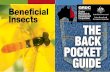Beneficial Insects - GRDC€¦ · Beneficial Insects Beneficial insects have many roles in the environment, including in agricultural systems. Those we are most familiar with are