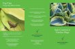 Crop Protection - slug brochure art:Layout 1 23/1/13 …• Parasitic nematodes (biological control agent) • Slug pellets. One solution commonly chosen by gardeners is slug pellets.