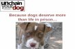 Because dogs deserve more than life in prison…Because dogs deserve more than life in prison… Many dogs are chained 24/7 for years Chaining Is Inhumane Chains are often tight, tangled,