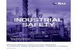 Rae Systems, Inc. - Honeywell Industrial Safety...Rae Systems, Inc. 2 ... approaches to wastewater gas -detection systems are being adopted to perform a range of industrial applications