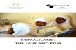 SOMALILAND: THE LAW AND FGM - 28 Too Many · In Somaliland, the prevalence of FGM in women aged 15–49 is 99.1%. Most girls are cut between the ages of 4 and 14. 85% of women have
