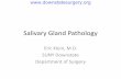 Salivary Gland Pathology - Semantic Scholar · 2018-03-15 · Salivary Gland Pathology Eric Klein, M.D. SUNY Downstate . Department of Surgery .
