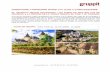 DORDOGNE / PERIGORD NORD con visita a CARCASSONNE€¦ · Catalogado como uno de los pueblos más bonitos de Francia, se le conoce como la pequeña Carcassonne y además como el “Pueblo