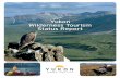 Yukon Wilderness Tourism Status Report 2008 · The early years, 6 The modern era , 6 The wilderness tourism sector: 2000 and beyond, 10 Wilderness Tourism Association of the Yukon,