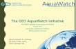 The GEO AquaWatch Initiative - CEOSceos.org/document_management/Working_Groups/WGISS/Meetings/WGISS-47/… · The GEO AquaWatch Initiative The Water Quality Community of Practice