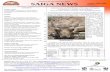 Published b y the Saiga Conservation Alliance ... - WCS China News/Saiga News_Issue_8.pdf · B.Chimeddorj1, L.Amgalan2, B. Buuveibaatar 2 1WWF Mongolia, 2Institute of Biology, MAS,