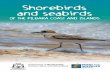 Shorebirds and seabirds - Department of Parks and Wildlife · 2017-12-01 · Shorebirds and seabirds of ... New Zealand Papua New Guinea Indonesia Phillipines Russia Japan Yellow
