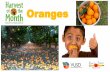 Oranges - Rio School Districtrioschools.org/wp-content/uploads/2017/03/February-HOTM-Orange... · Oranges February 2017 Minty Orange Salad Ingredients : 2 cup oranges, large diced
