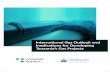 International Gas Outlook and Implications for Developing ...ccsi.columbia.edu/files/2017/12/International-Gas-Outlook-and... · 5 The International Gas Market 1. Recent Developments