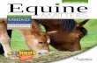 SPRING EDITION 2011 Equine - XLVets › sites › default › files... · EMBRYONIC OR FOETAL LOSS Unfortunately, loss of a developing foal is not uncommon, especially at the early
