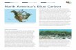 North America’s Blue Carbon · The CEC and Blue Carbon The CEC conducted two projects from 2013 through 2017 to improve blue carbon data, mapping, and approaches to reduce emissions