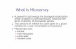 What is Microarray - unito.it · What is Microarray A powerful technology for biological exploration whichwhich enables to simultaneously measure theenables to simultaneously measure