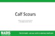 Calf Scours - NADIS...Scours •Calf scour (diarrhoea) is the most common disease in young calves, accounting for about 50% of all calf deaths. •Easily recognised it is important
