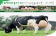 Dairy magazine of Veepro Holland Vol. 84 July 2013 magazine · The heifers can be tested. The best and safest advice is to import heifers from the Netherlands that test sero-positive