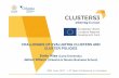 CHALLENGES OF EVALUATING CLUSTERS AND ......CHALLENGES OF EVALUATING CLUSTERS AND CLUSTER POLICIES Emily Wise (Lund University)James Wilson (Orkestra & Deusto Business School)20th