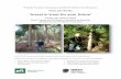 ‘Invest in trees for your future’ · FIELD DAY NOTES ‘Invest in trees for your future’ Friday 29th March 2019 . Chris Franks and Graham Freeman properties . Milabena, North