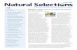 Natural Selections Winter 2020 - depts.washington.edudepts.washington.edu/pnwcesu/wordpress/wp-content/... · Welcome to the Winter 2020 Edition . of . Natural Selections! Hi, I’m