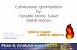 Combustion optimization by Tunable Diode Laser Spectroscopy · Combustion optimization by Tunable Diode Laser Spectroscopy Arthur Groenbos Product Manager Gas Analyzers Yokogawa Europe