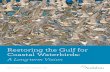 Restoring the Gulf for Coastal Waterbirds4 Restoring the Gulf for Coastal Waterbirds: a Long-term Vision ... developing an atlas of sites, their current conditions, and prescriptive