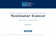 Testicular Cancer - Welcome | Dr. Bryan Allen · 2017-06-21 · Testicular Cancer. Updates in Version 2.2017 of the NCCN Guidelines for Testicular Cancer from Version 2.2016 include: