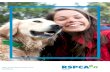 Dogs and Puppies Foster Care Handbook - RSPCA Vic and... · As a foster carer, you will help offer RSPCA Victoria dogs and puppies a second chance by providing a safe, enriching and