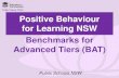 Positive Behaviour for Learning - pbl.schools.nsw.gov.au · Positive Behaviour for Learning Public Schools NSW Tier 2: Items 18 - 31 Items 18 – 31 are completed for the most common