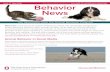 Behavior News - vet.osu.edu...home. Topics include: genetics and behavior of cats and dogs, the effects of stress on small animal health and behavior, canine aggression towards family